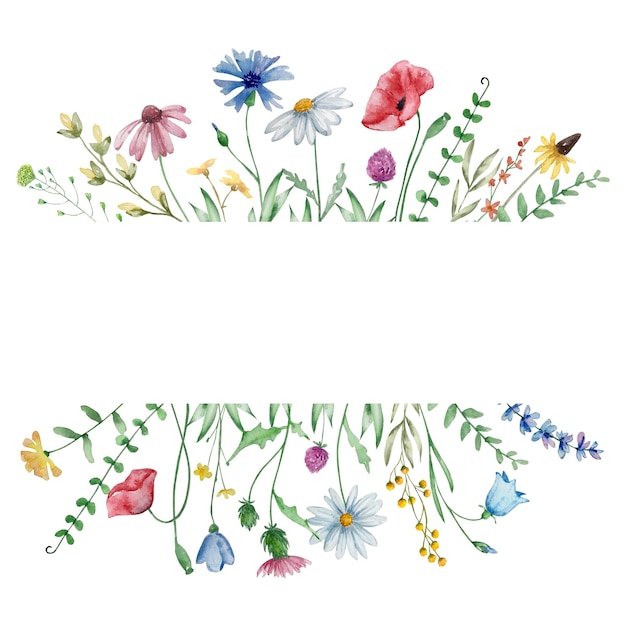 Cornice di fiori di campo dell'acquerello