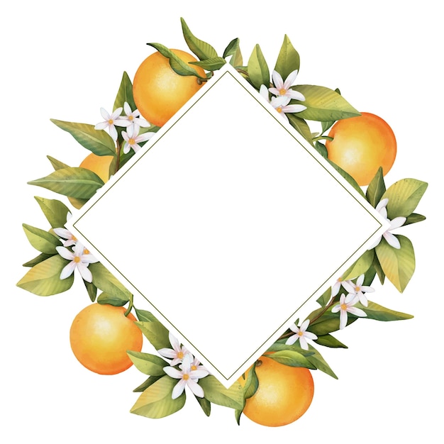 Cornice di fiori di rami di albero di arancio in fiore acquerello disegnato a mano e arancio