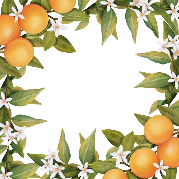 Cornice di fiori di rami di albero di arancio in fiore acquerello disegnato a mano e arancio