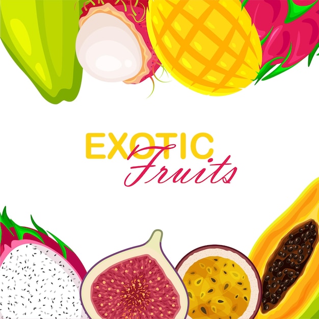 Cornice di frutta esotica isolata su sfondo bianco Modello di banner estivo Illustrazione vettoriale