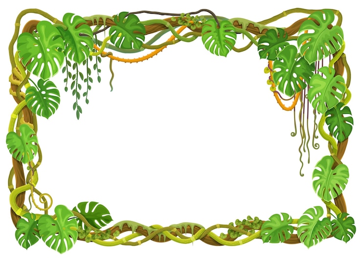 Vettore cornice di liane della foresta tropicale con piante della giungla