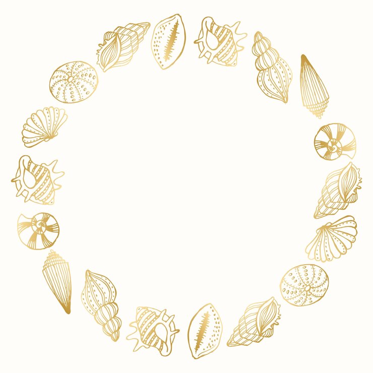 Vettore cornice rotonda da conchiglie dorate di contorno. elemento decorativo, invito, vettore