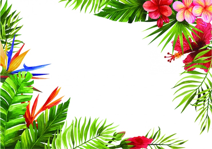Vettore cornici di fiori e foglie tropicali