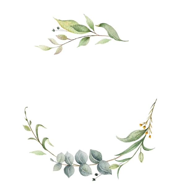 Corona di vettore dell'acquerello di rami e foglie di eucalipto verde