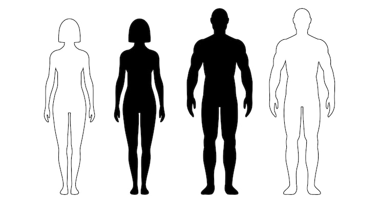 Vettore corpo umano uomo e donna silhouette figura maschile e femminile vettore monocromatico contorno di persona isolato