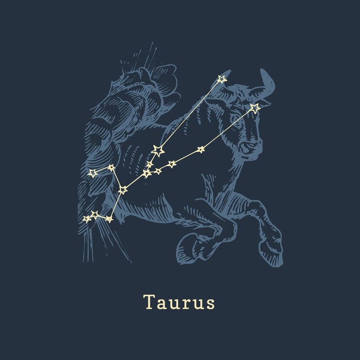Costellazione zodiacale del Toro in stile incisione Illustrazione grafica vettoriale retrò del segno zodiacale Toro