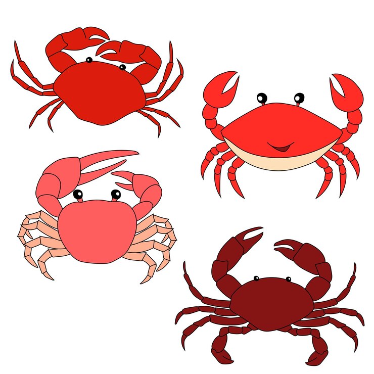 Crab Clipart Animali acquatici e marini Clipart