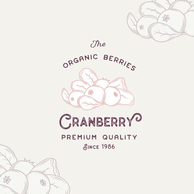 Cranberry Label Abstract Vector Packaging Design Layout Moderna Tipografia Banner