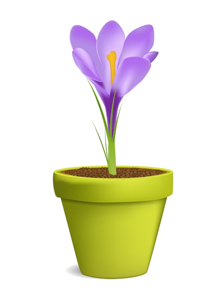 Croco nell'illustrazione del vaso da fiori isolata