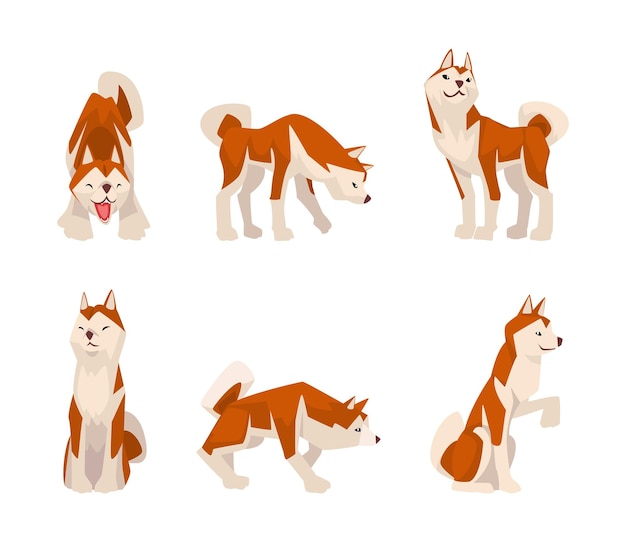 Cuccino Shiba Inu in diverse pose set amichevole cane da compagnia di razza pura illustrazione vettoriale di cartoni animati
