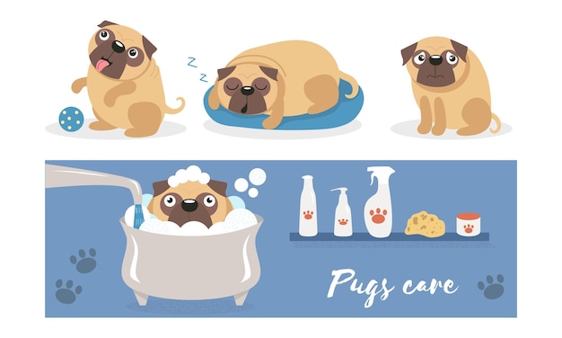 Cucciolo carino si bagna in un bagno di schiuma Cartoon pugs chiede di giocare a palla dorme su un cuscino blu e si siede colpevole illustrazione vettoriale