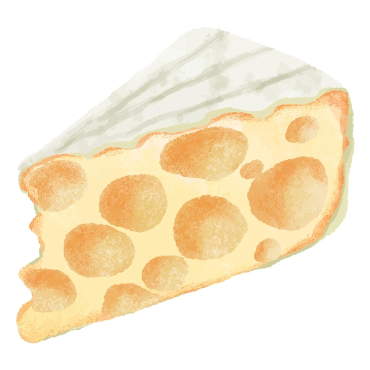 Vettore cuneo cremoso di formaggio invecchiato