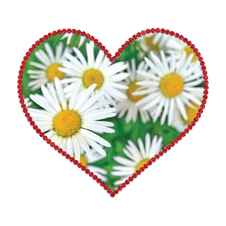 Vettore cuore floreale