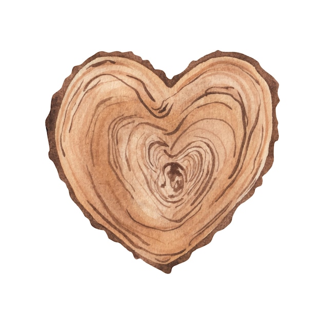 Cuore in legno albero puntatore segno rustico Fetta di legno cartello in legno con vecchia struttura Illustrazione dipinta ad acquerello