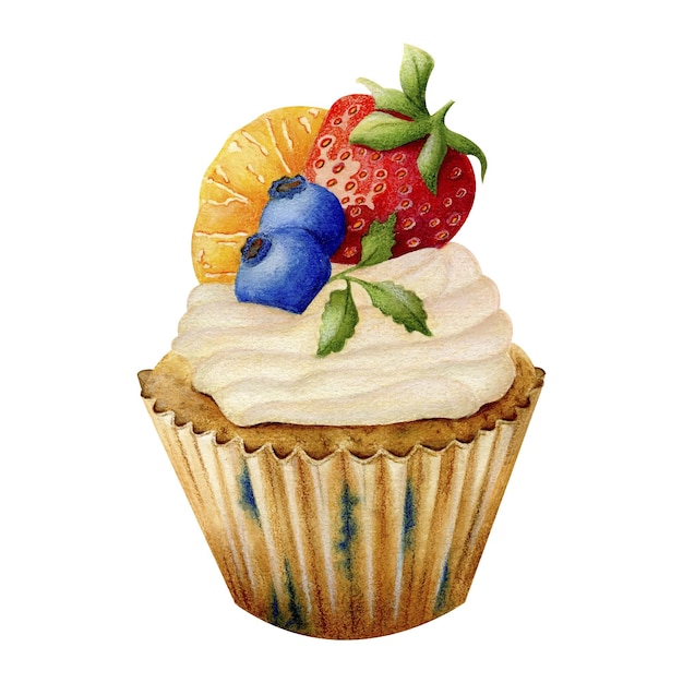 Cupcake con frutti di bosco Illustrazione ad acquerello