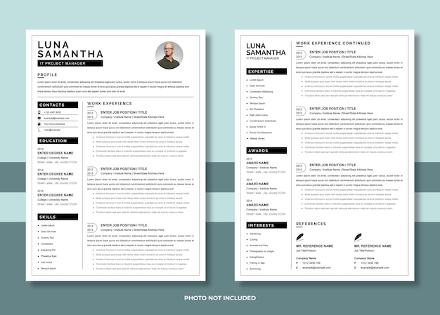 Curriculum professionale