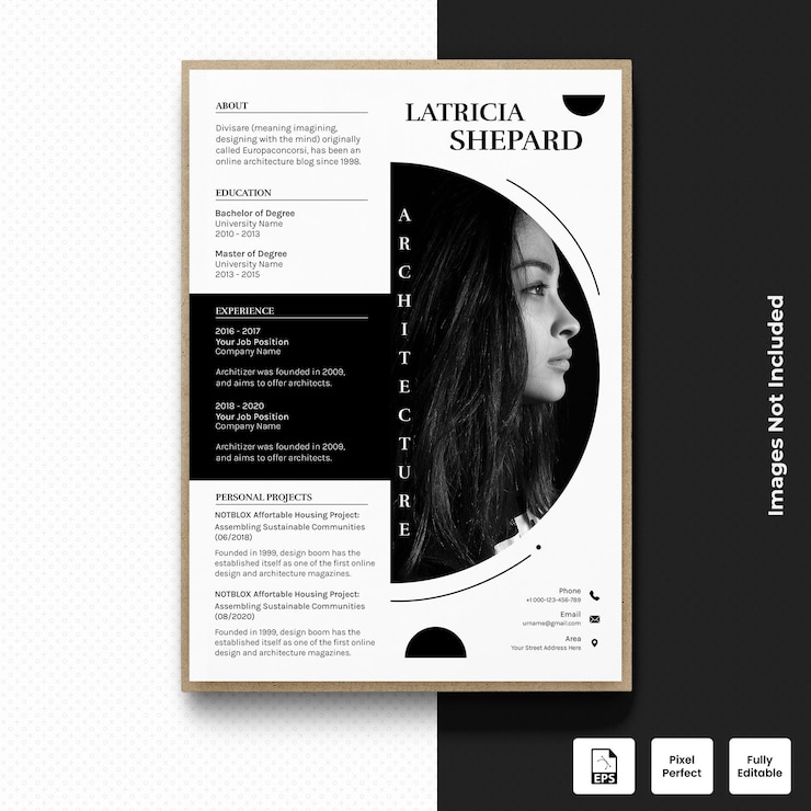 Vettore curriculum vitae di architetto