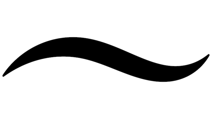 Vettore curva linea calligrafica sottolineata swishes swashes swoops strip swoosh stroke