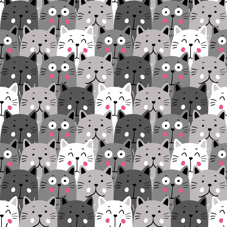 Cute Cute Kitten Cat