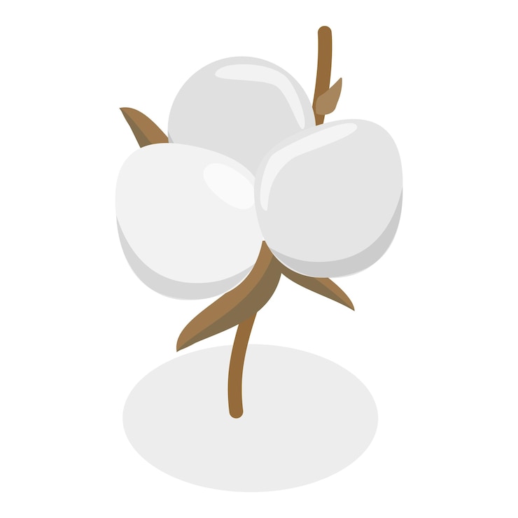 Vettore d illustrazione isometrica a vettore piatto della collezione di fiori di cotone, prodotto puro e biologico
