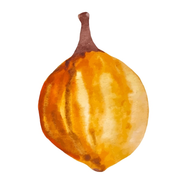 Decorazione autunnale di zucca dell'acquerello disegnato a mano