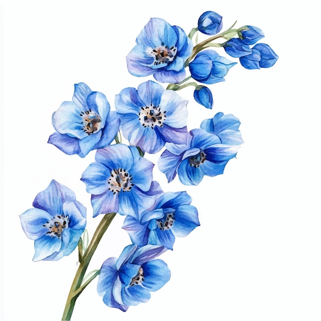 Delphinium fiore acquerello clipart illustrazione isolato