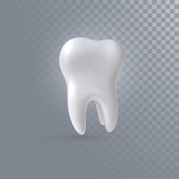 Dente 3d realistico isolato