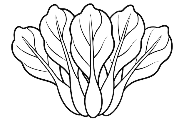 Design artistico della linea Bok Choy Leaf