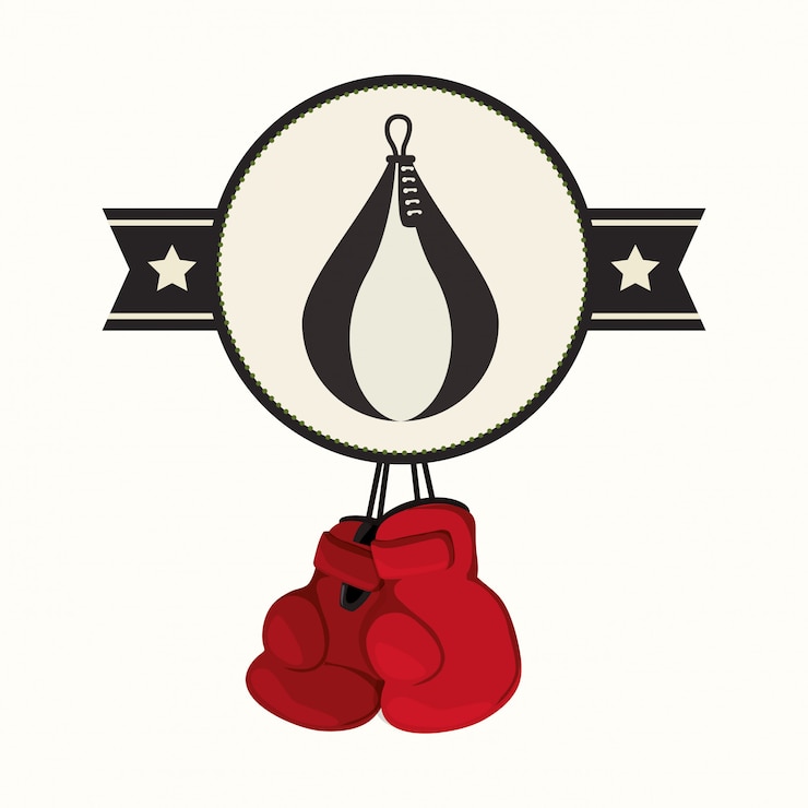 Vettore design boxe