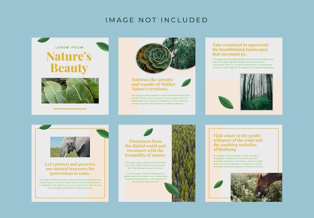 Design del modello di social media della natura
