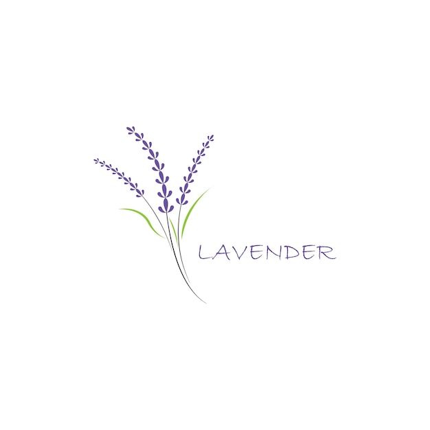 Design piatto vettoriale con logo di fiori di lavanda fresca