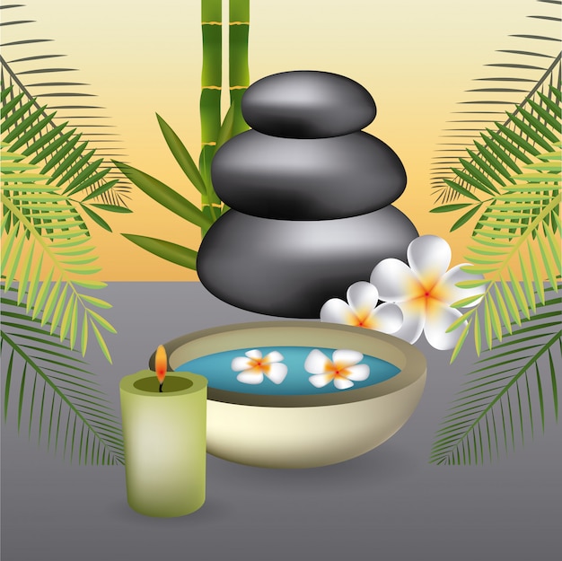 Design SPA.