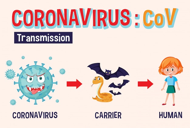 Diagramma che mostra il coronavirus e la trasmissione della malattia