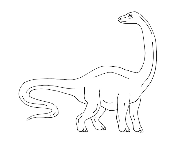 Dinosauro diplodocus di schizzo disegnato a mano di vettore