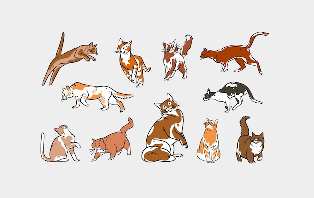 Disegnata a mano vettore astratto linea grafica collezione d'arte con adorabile simpatico personaggio gatto divertente cartone animato