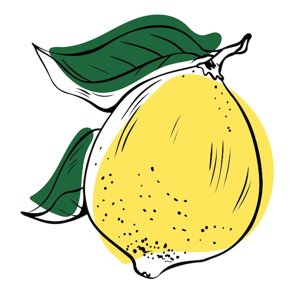 Disegnato a mano lineart unico limone giallo intero con foglie verdi su sfondo bianco