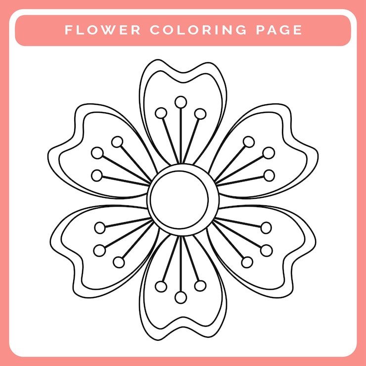 Vettore disegni da colorare fiori stampabili