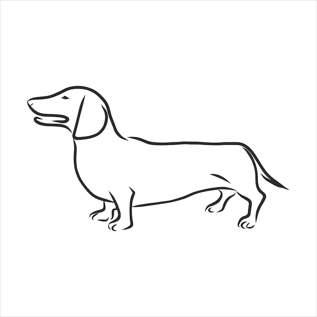 Disegni vettoriali schizzo bassotto disegnato a mano con inchiostro, oggetti senza sfondo