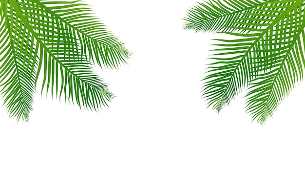 Disegno a foglia verde