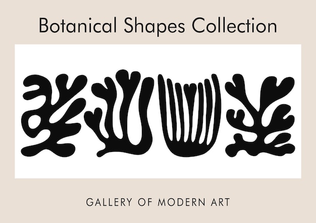 Disegno a inchiostro - Forme botaniche vettoriali - Modello ispirato a Matisse - Poster minimi