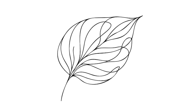 Vettore disegno a linea continua della foglia foglia di uno sfondo a linea sfondo di un disegno a linea illustrazione vettoriale