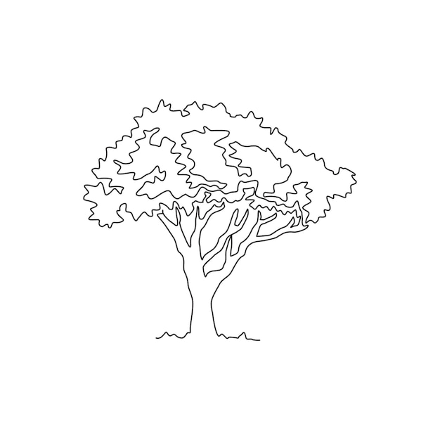 Disegno a linea continua di un bellissimo albero di marula per la decorazione della casa Pianta di barile di scleroderma