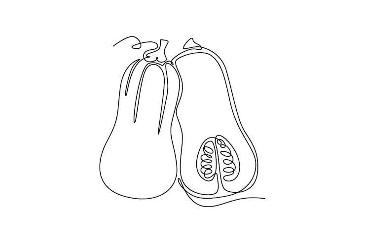 Vettore disegno a linea continua di zucca organica sana intera e tagliata per l'identità del logo della fattoria concetto di zucca invernale per l'icona delle verdure disegno a riga una illustrazione vettoriale di progettazione grafica