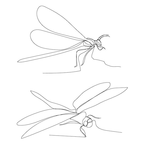 Disegno a linea singola della libellula del fondo bianco di vettore