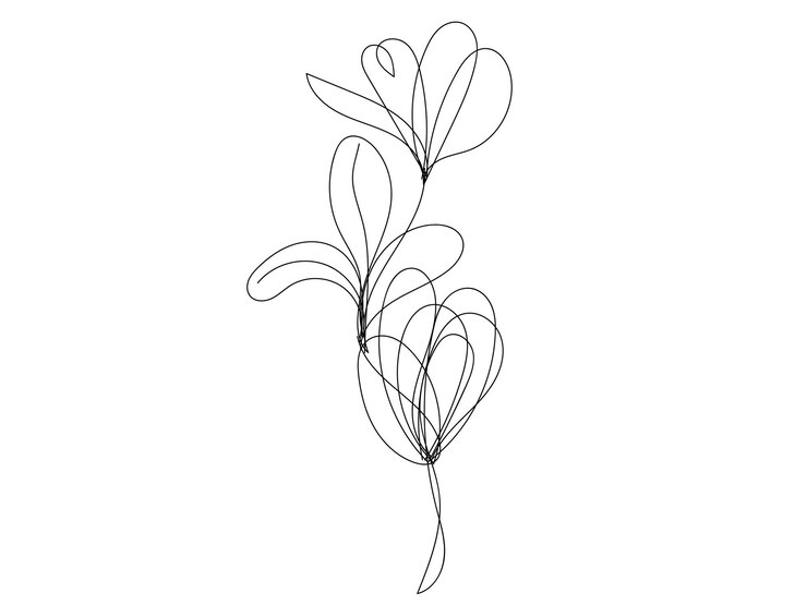 Vettore disegno a mano di un disegno di fiori su uno sfondo bianco vettore disegnato a mano con fiori