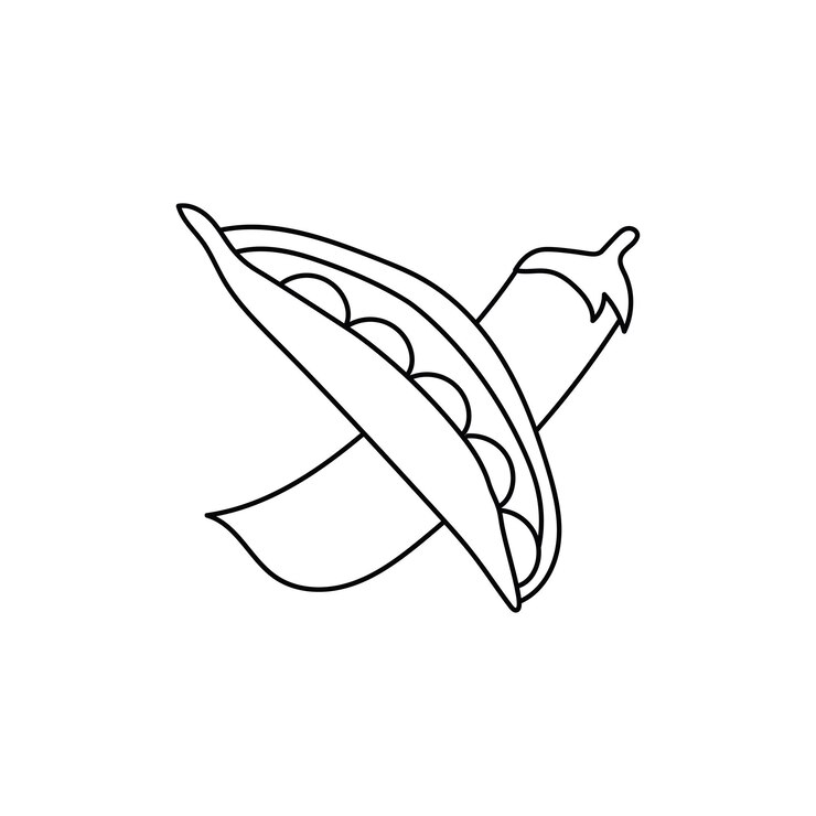 Vettore disegno a mano per bambini disegno cartone animato illustrazione vettoriale icona di pisello isolata su sfondo bianco