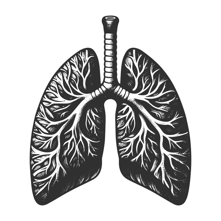 Vettore disegno anatomico in stile vintage