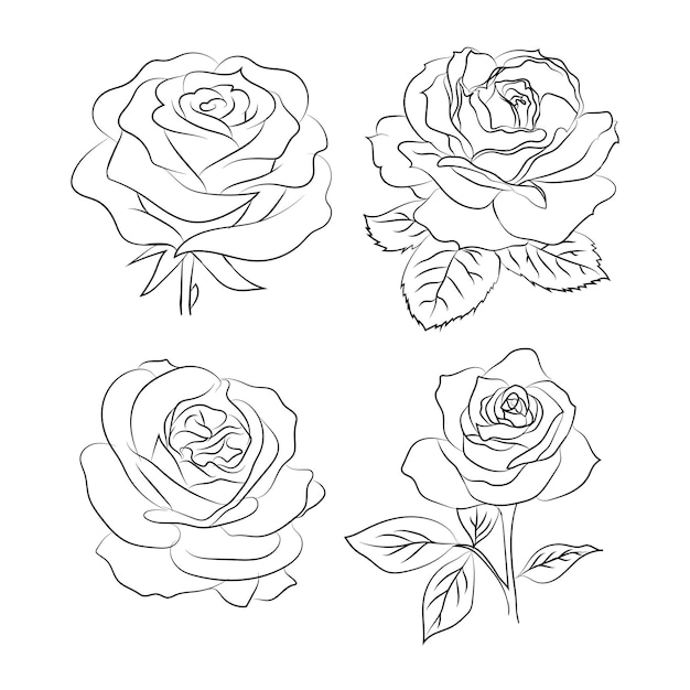 Disegno artistico di fiori di rosa per un libro da colorare