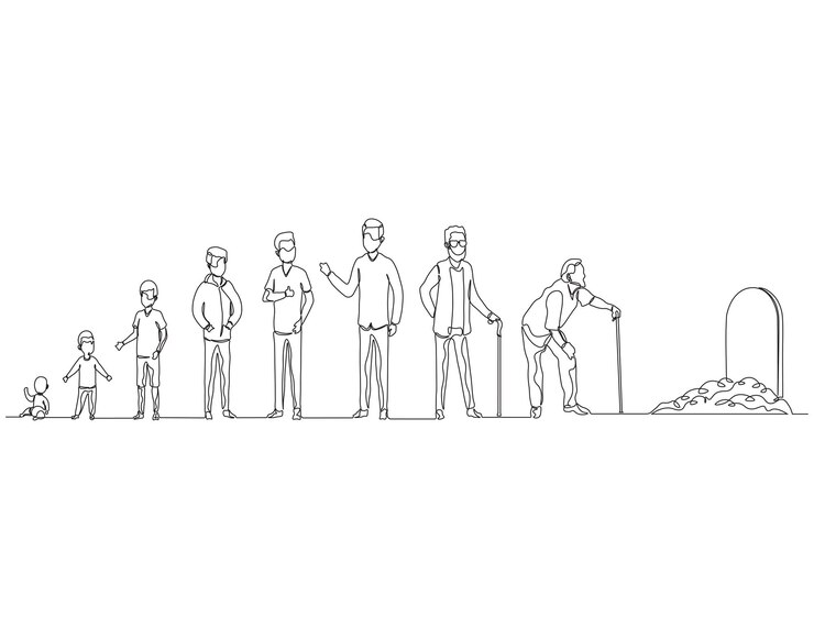 Vettore disegno continuo di una linea del passo della crescita dell'uomo disegno di una linea illustrazione del ciclo di vita umano processo di invecchiamento crescita concepto di linea per bambini piccoli art del contorno modificabile