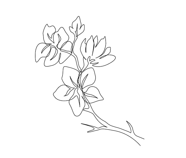 Disegno continuo di una linea di fiori di ciliegio Semplice illustrazione vettoriale della linea di fiori in fiore